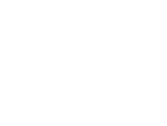 Stealth Aerospace Logo